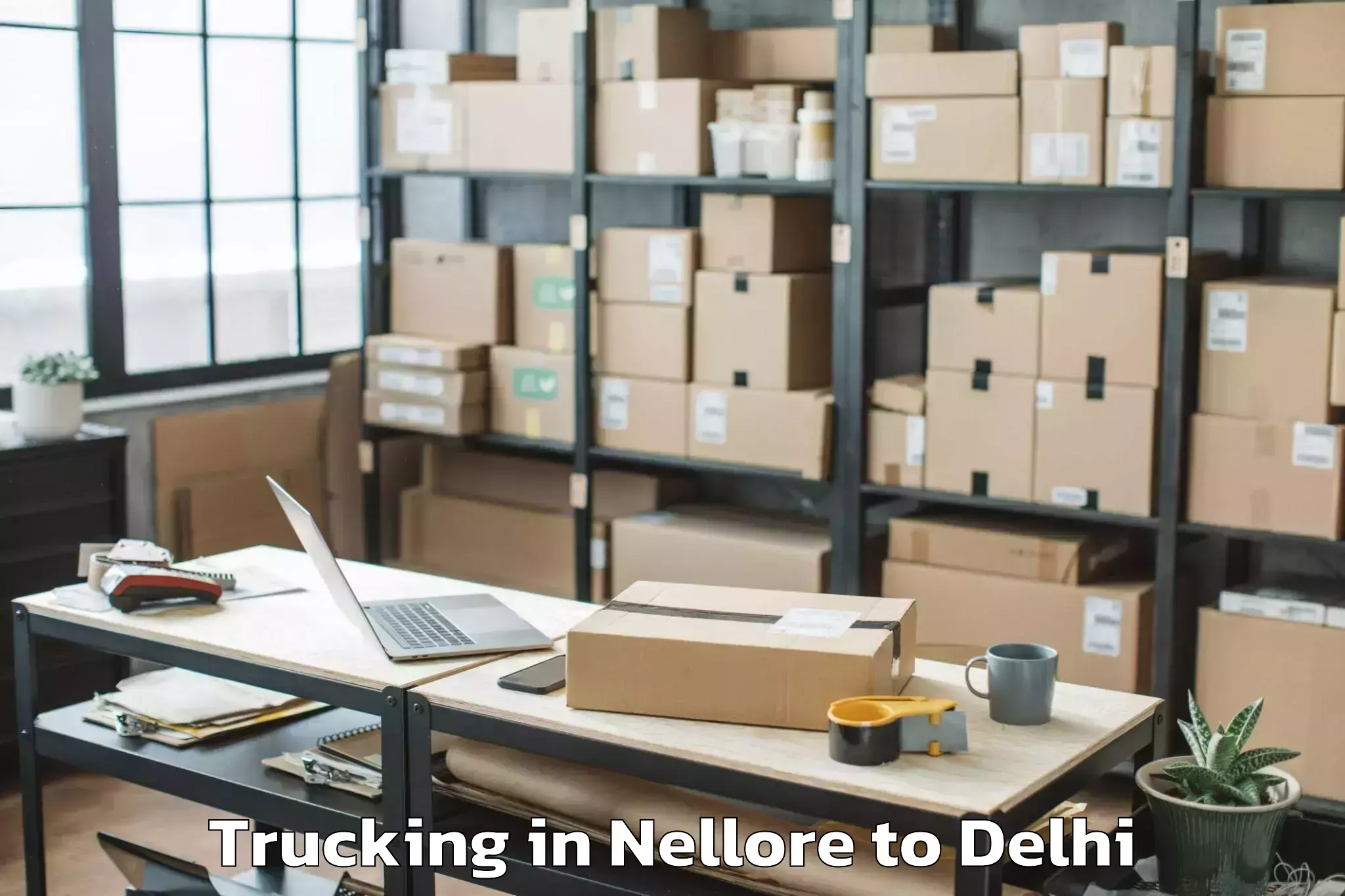 Trusted Nellore to Indira Gandhi International Ai Trucking